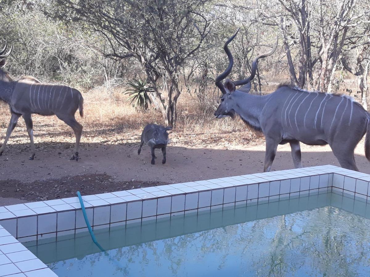 Eagle'S Crest Villa Marloth Park Exterior photo