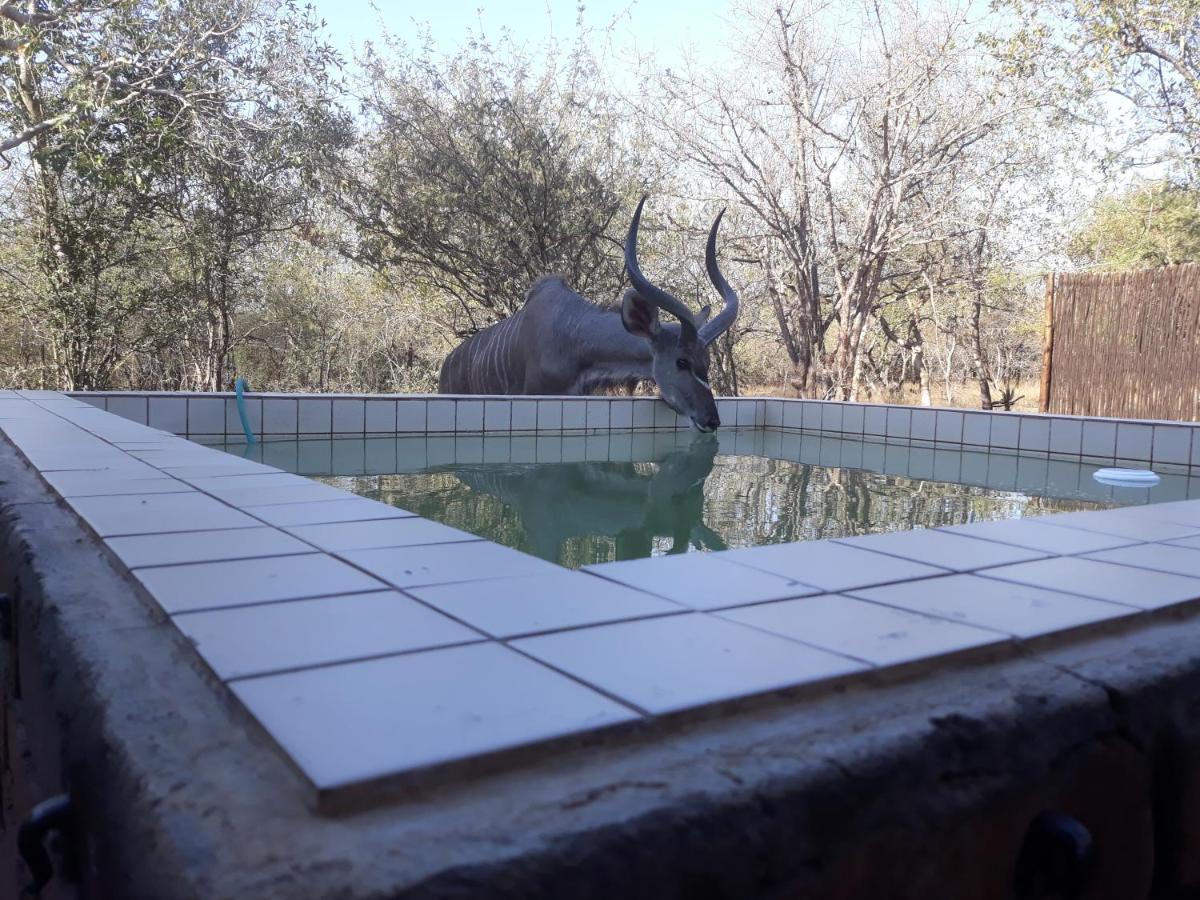 Eagle'S Crest Villa Marloth Park Exterior photo