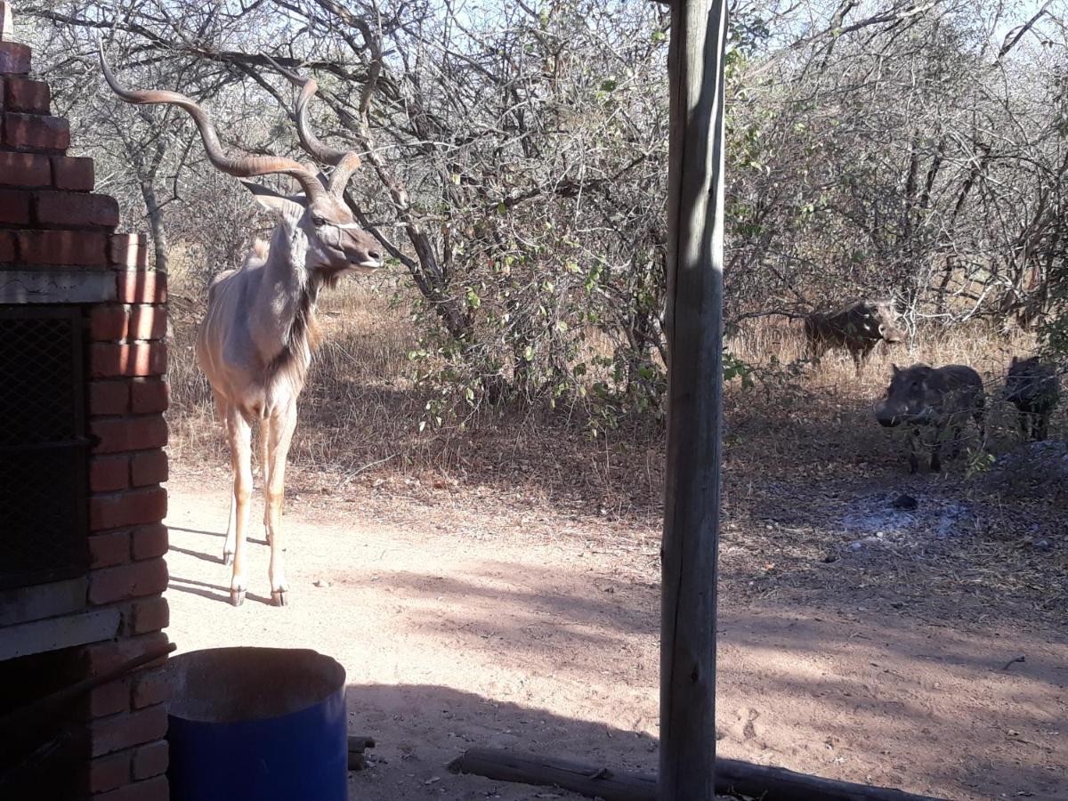 Eagle'S Crest Villa Marloth Park Exterior photo