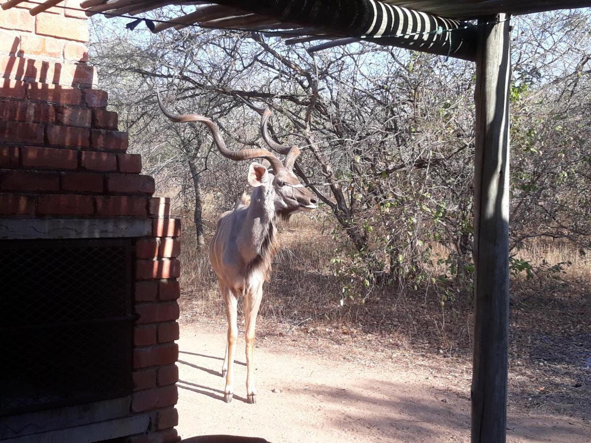 Eagle'S Crest Villa Marloth Park Exterior photo